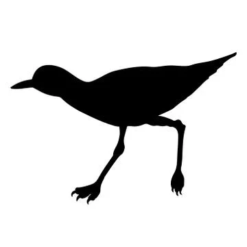 Stone Curlew Ilustración de archivo