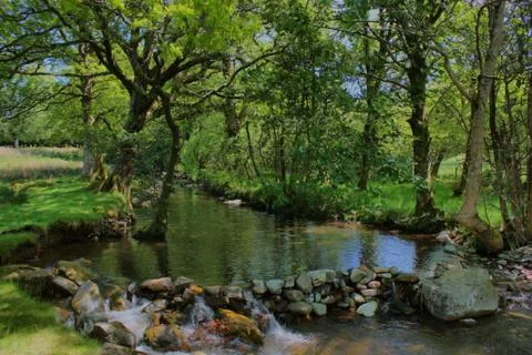 Stone dam acoss a small stream in a wooded area Stock Photos