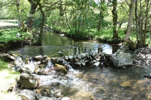 Stone dam acoss a small stream in a wooded area Stock-Fotos