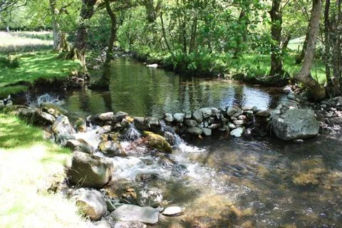 Stone dam acoss a small stream in a wooded area Stock-Fotos