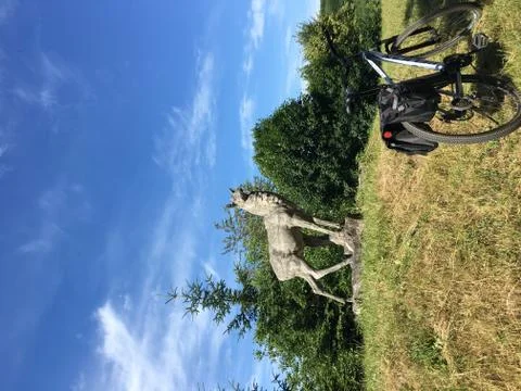 Stone Deer Foto stock