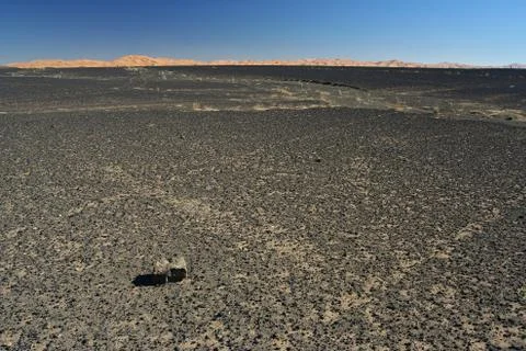 Stone desert - hamada Stock Photos