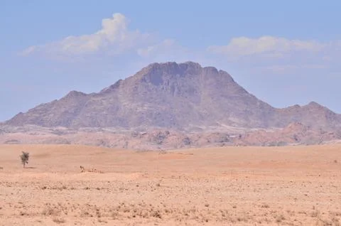 Stone Desert panorama Background in Namibia Africa Foto stock