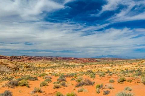Stone desert Stock Photos