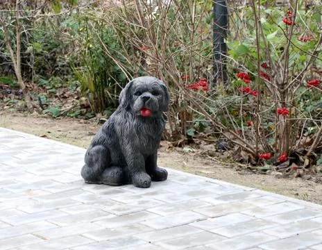 Stone dog Stock Photos