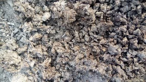 Stone dug Stock Photos