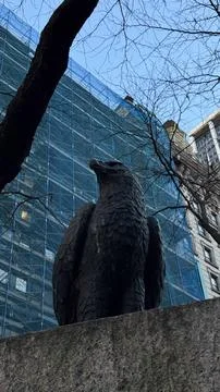 Stone eagle sculpture perched in front of a modern glass building in New Yo.. Stock Photos