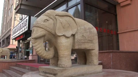 Stone Eleaphant in China Video stock 53337488