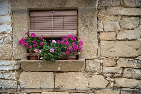 Stone facade with window with geraniums Stock Photos