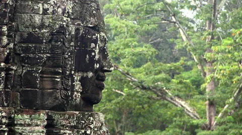 Stone face in the jungle, focus movement Stock Footage 42187958