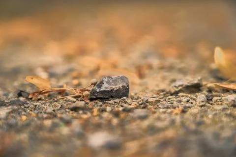A stone in the fall Foto stock