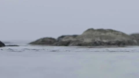 Stone falling in the lake Stock Footage 132859075