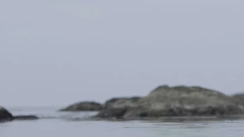 Stone falling in the lake Stock Footage 132859096
