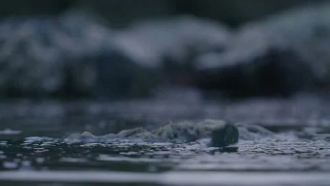 Stone falling in the river Stock Footage 132858833