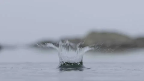 Stone falling in the river Stock Footage 132858961