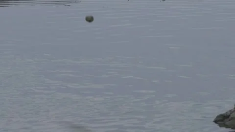 Stone falling in the sea Stock Footage 132859210