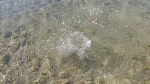 Stone falling into the sea Vídeos de archivo 317499889