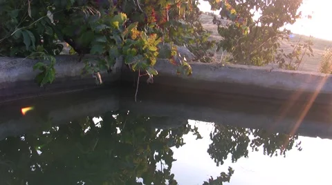 Stone falling into a tank Stock Footage 46658201