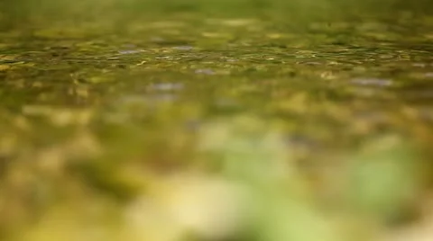 Stone falling into water Stock Footage 10827580