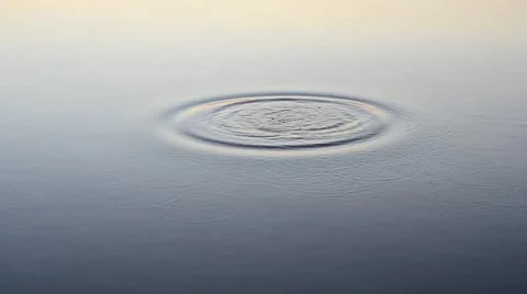 Stone falls and plops into water and produces rings on surface Stock Footage 54958952