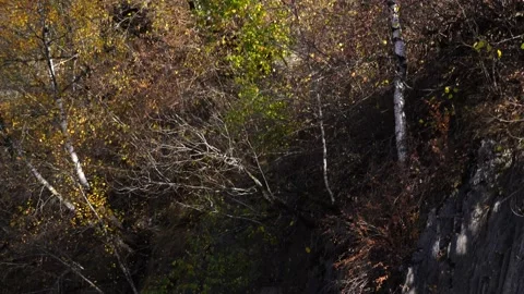 A stone falls into a mountain river, large splashes Stock Footage 152530209