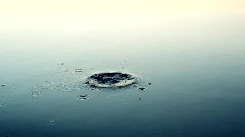 Stone falls into smooth water surface Stock Footage 66861986