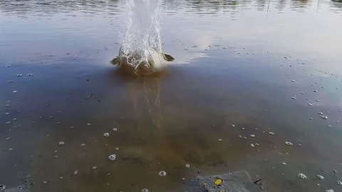 Stone falls into the water and the spray flies in different directions Video stock 80441271