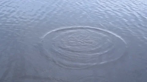 Stone falls into water. Stock Footage 77495971