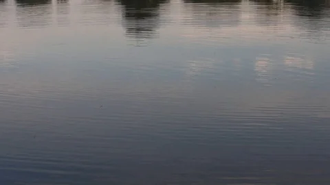 Stone falls into water Stock Footage 104956639