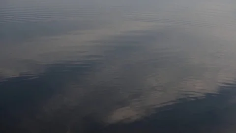 Stone falls into water Stock Footage 104956700