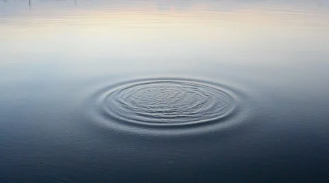 Stone falls into water producing circles on surface Stock Footage 64562298