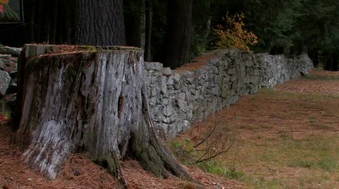 Stone Fence Video stock 270694