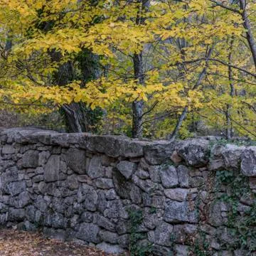 Stone fence in the forest of La Herreria Stock Photos