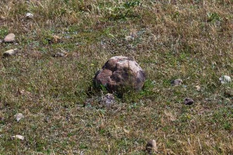 A Stone in the Field to the Sun Stock Photos