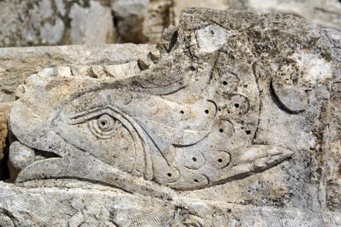 Stone fish Stock Photos