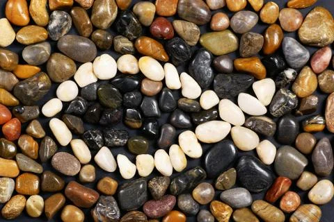 Stone fish Stock Photos