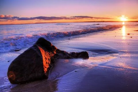 Stone fish in sunset light on an ocean beach Stock Photos