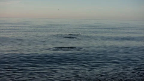 Stone flipping over sea Stock-Footage 153519760