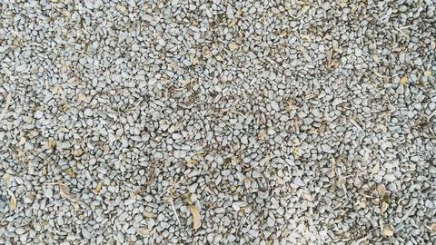 The stone floor and dry leaf texture background Foto stock