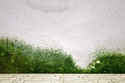 Stone floor and mossy plaster wall Stock Illustration