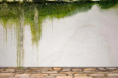 Stone floor and mossy plaster wall Stock Illustration