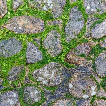 Stone floor with moose Foto stock
