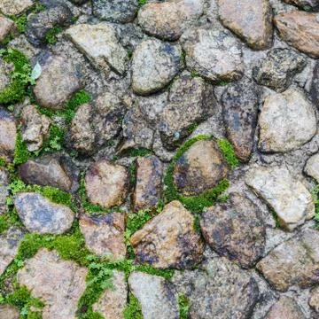 Stone floor with moose Foto stock