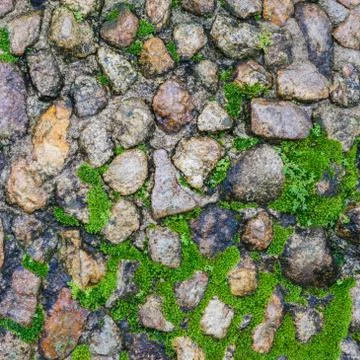 Stone floor with moose Stock Photos