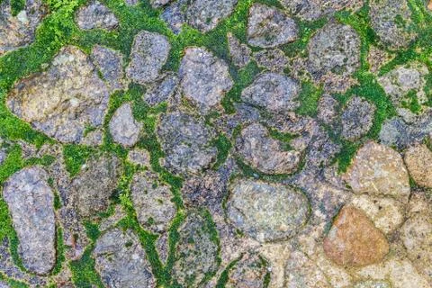 Stone floor with moose Stock Photos