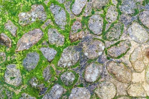 Stone floor with moose Stock Photos