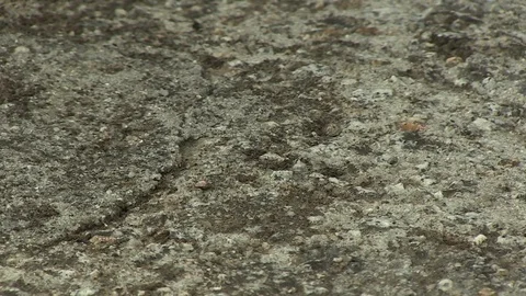 STONE FLOOR TEXTURE Stock Footage 90180719