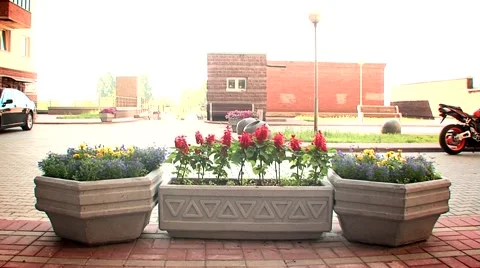 Stone flower beds Stock Footage 5080928
