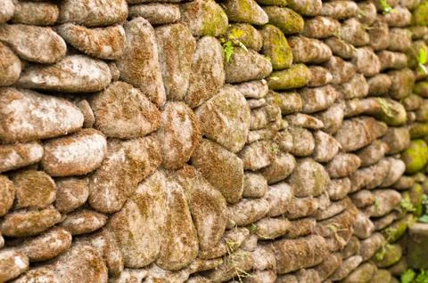 Stone flower 스톡 사진