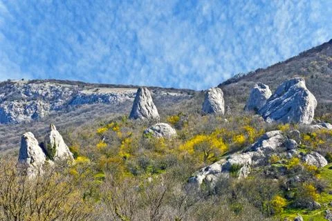 Stone flower Stock Photos